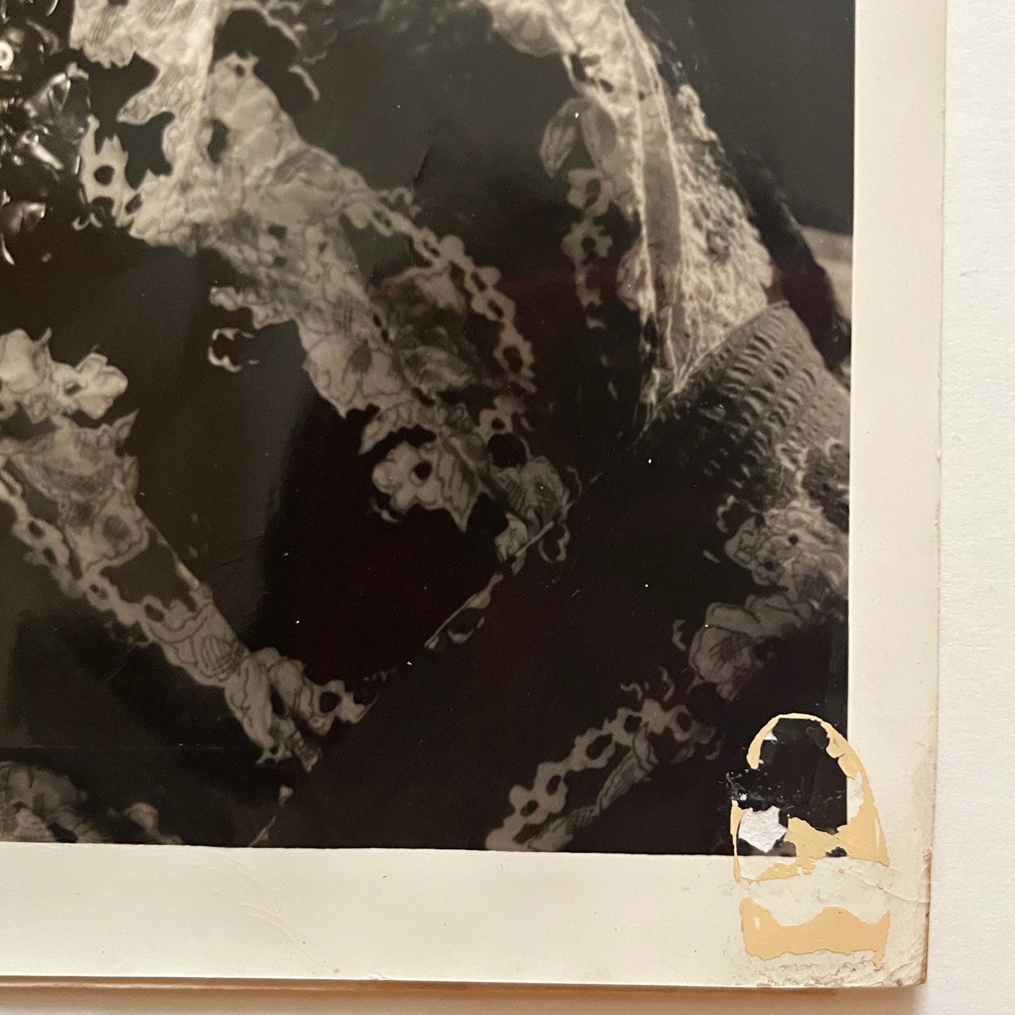 Lucille Ball 1940 Photo Photographed by Ernest A. Bachrach RKO Studio Photographer