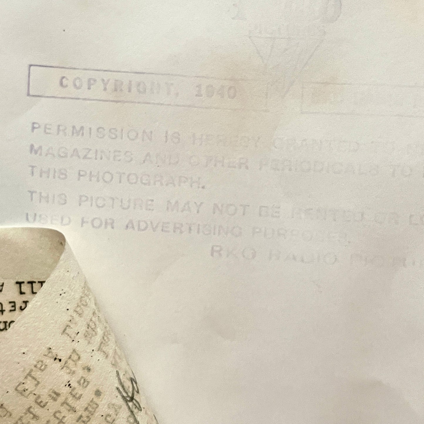 Lucille Ball 1940 Photo Photographed by Ernest A. Bachrach RKO Studio Photographer