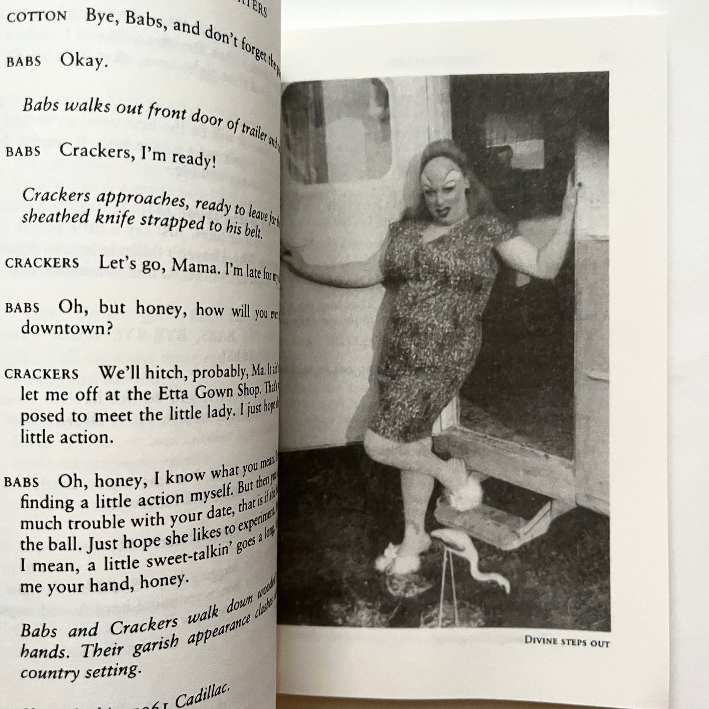 SIGNED Pink Flamingos Screenplay John Waters