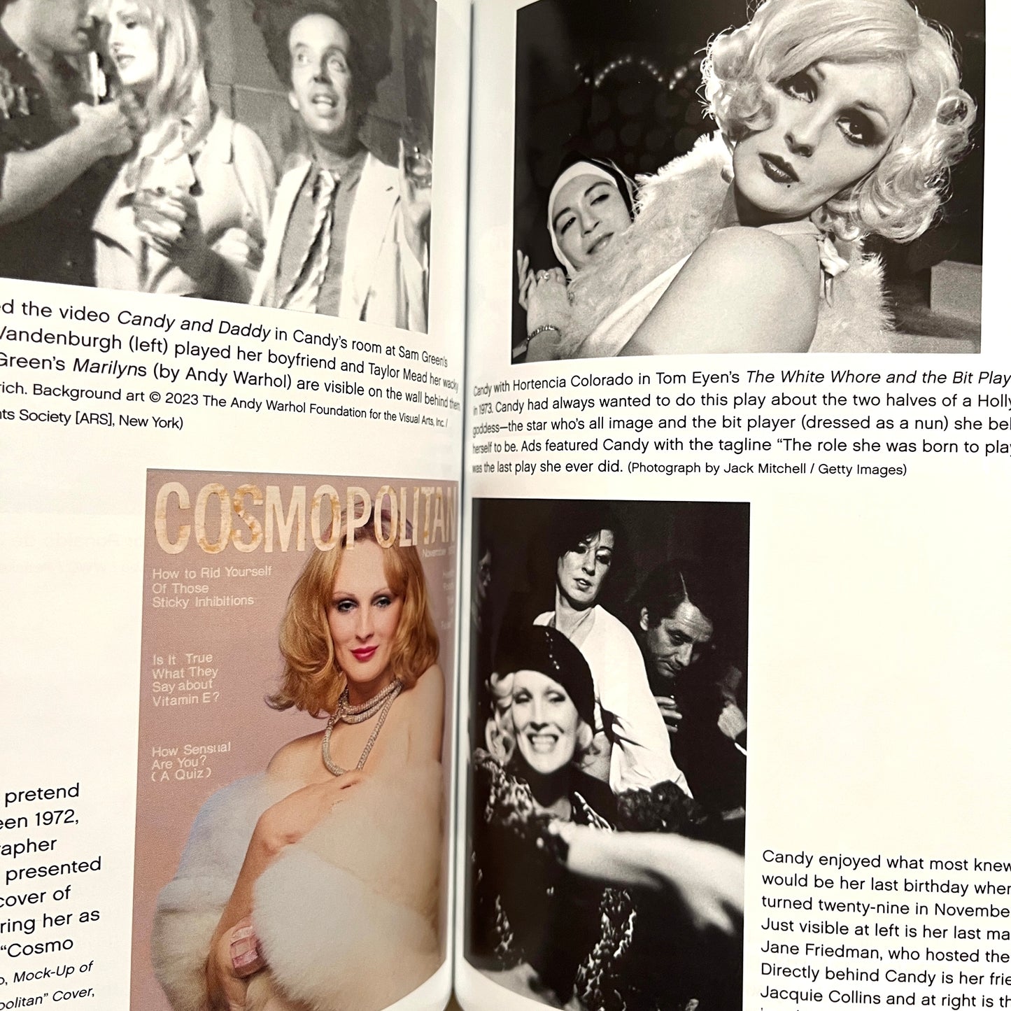 Candy Darling Dreamer, Icon, Superstar by Cyntha Carr