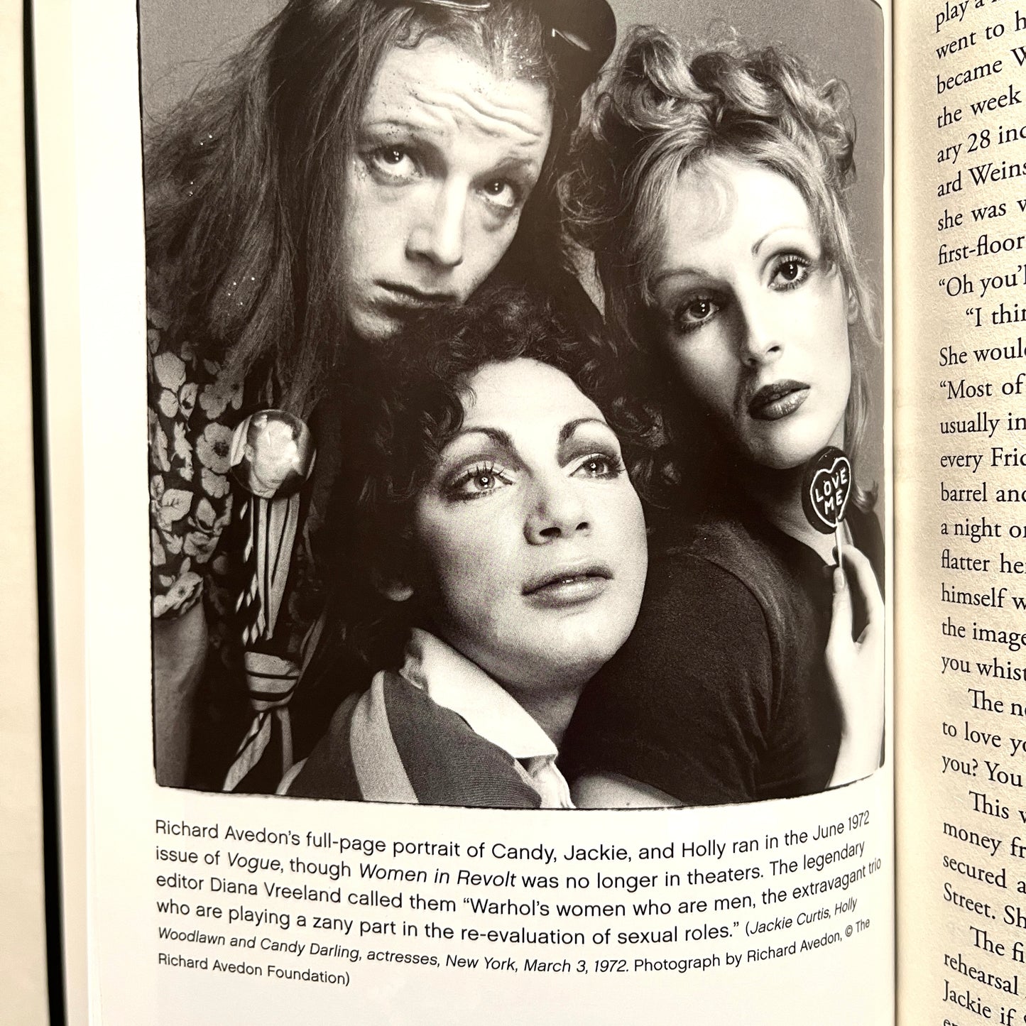 Candy Darling Dreamer, Icon, Superstar by Cyntha Carr