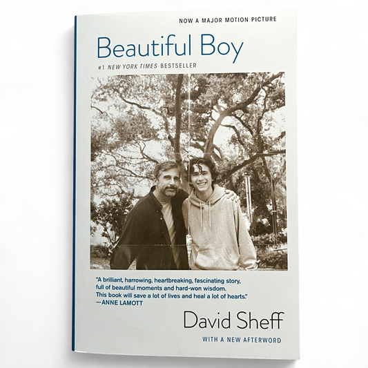 SIGNED Beautiful Boy A Father's Journey Through his Son's Addiction by David Sheff
